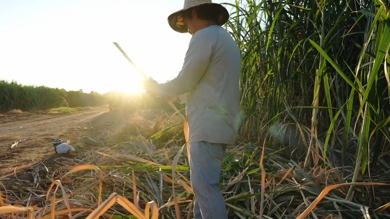 Researchers map heat to protect farmworkers